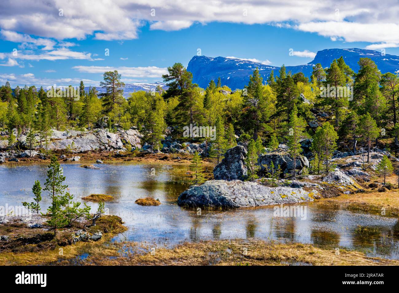 Norrbotten: Naturaleza salvaje, auroras boreales y paisajes únicos