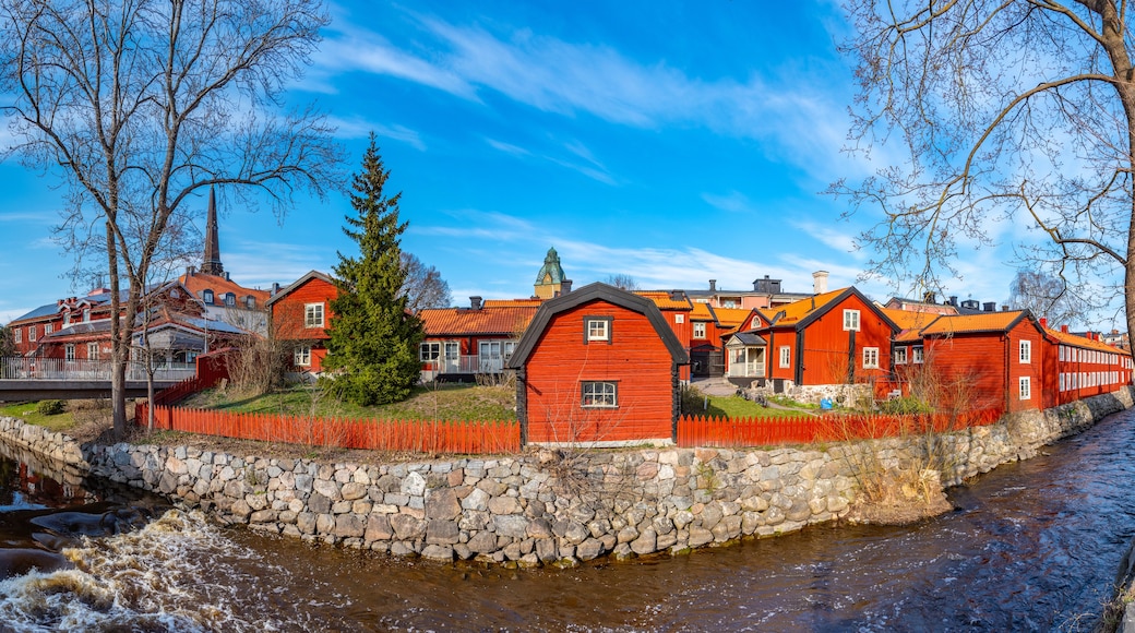 Västmanland: Paisajes y Naturaleza de la Región Sueca